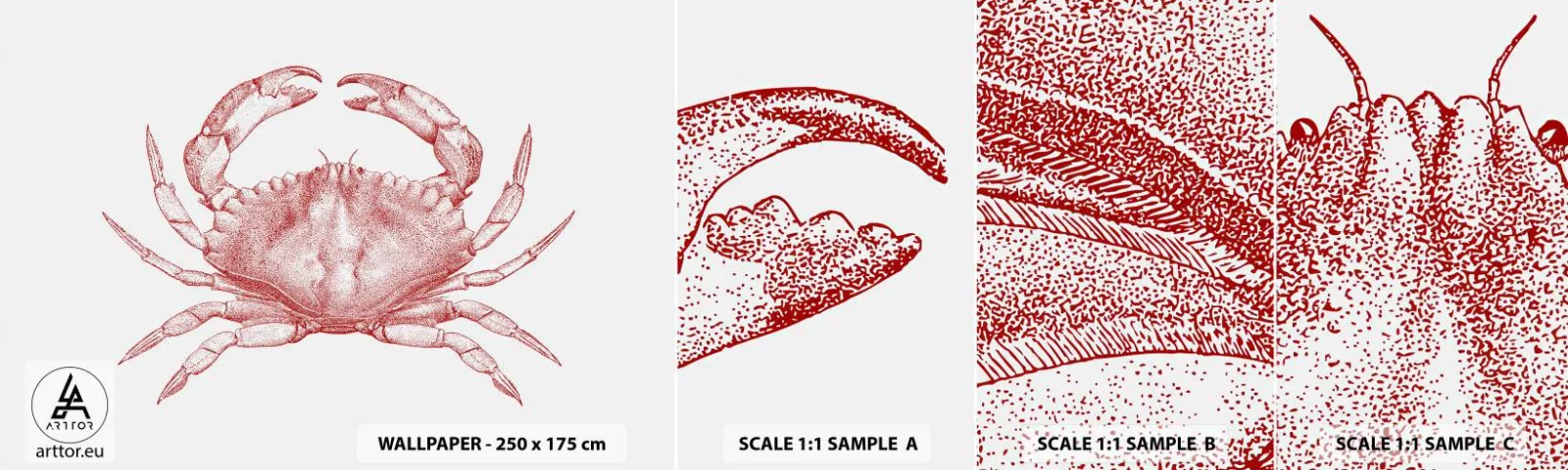 Vzorka samolepiacej fototapety Deluxe Sticker - Krab nad kraby - Krab, Morské plody, Mäkkýše - 100x30 cm