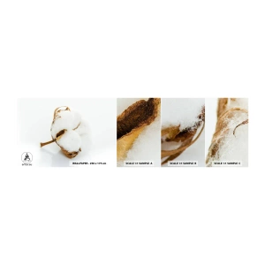 Vzorka Fototapeta Standard Eco - Mäkká od prírody - Bavlna, Minimalistický, Kvetina - 100x30 cm