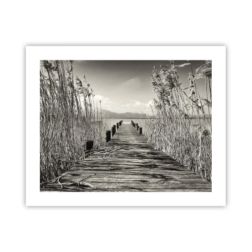 Plagát - V ústraní tráv - 50x40 cm