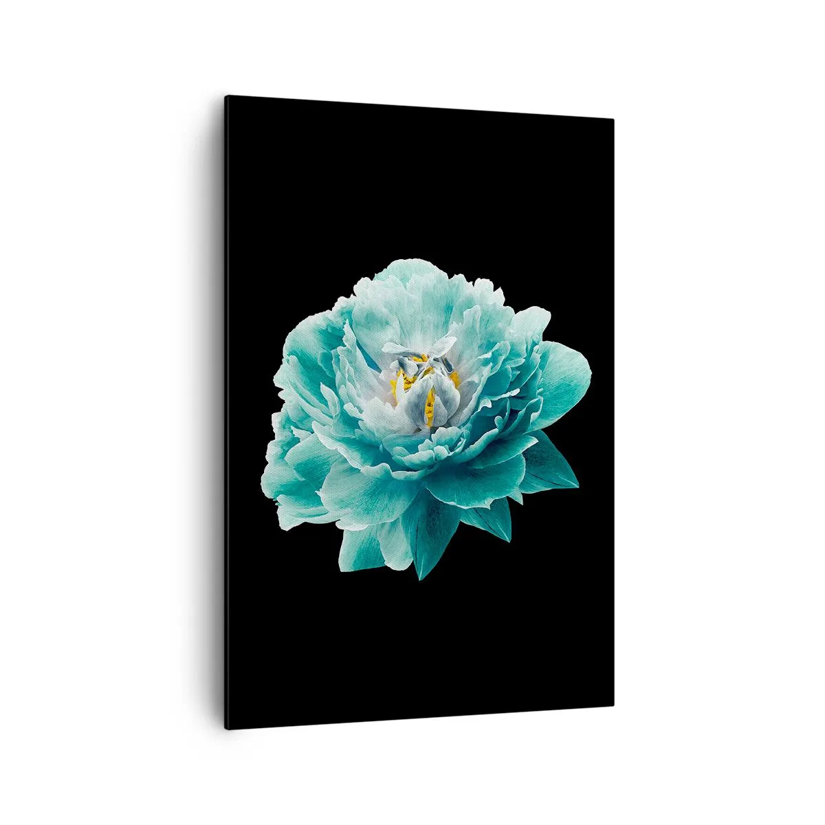 Obraz na plátne - Modré a zlaté okvetné lístky - 70x100 cm