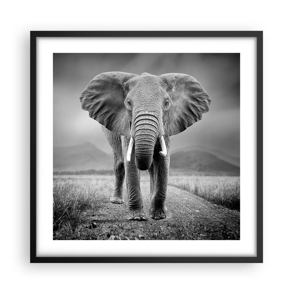 Plagát v čiernom ráme - Hostiteľ víta - 50x50 cm