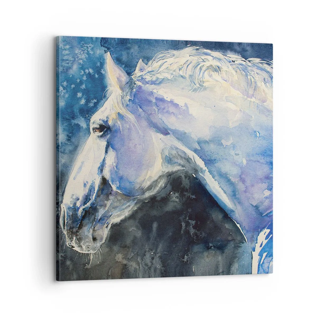 Obraz na plátne - Portrét v modrej žiare - 60x60 cm