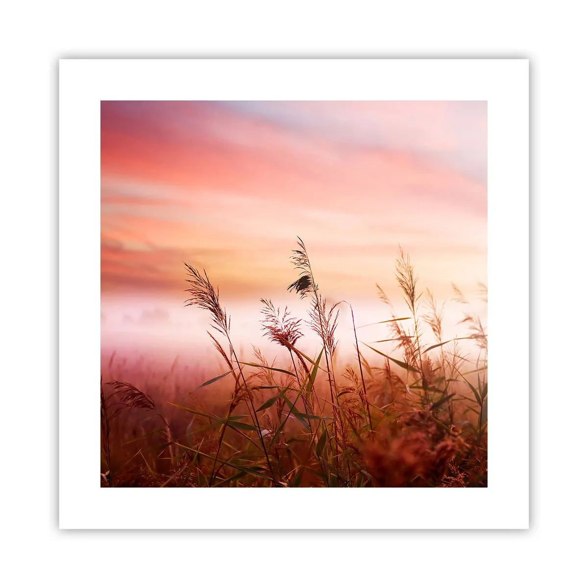 Plagát - Draci, púpavy a vietor - 40x40 cm