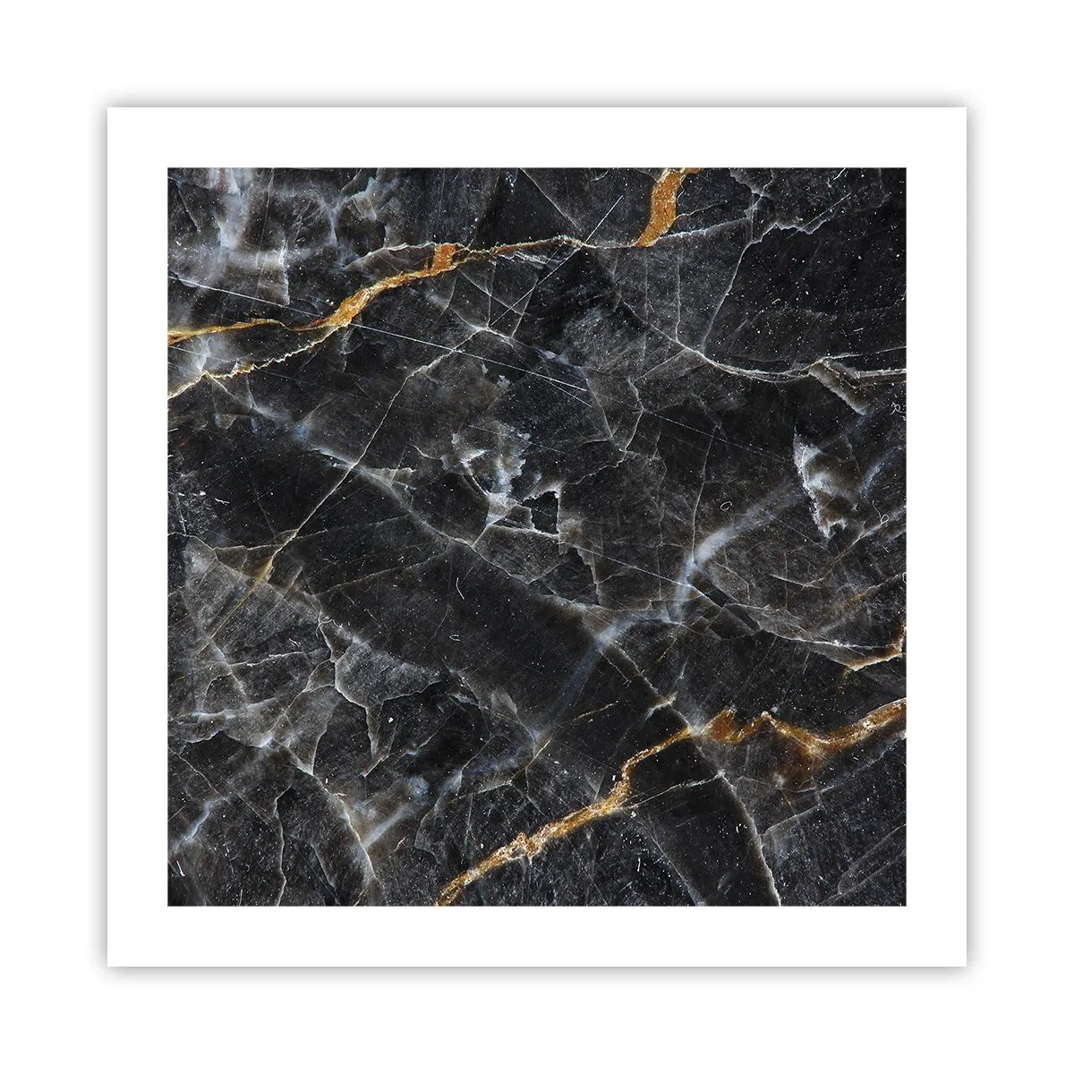Plagát - Vnútorný život kameňa - 50x50 cm