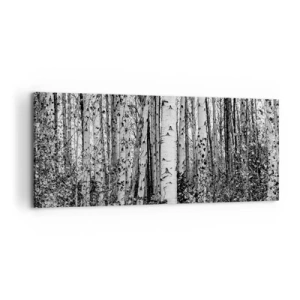 Obraz na plátne - Brezová kolonáda - 100x40 cm