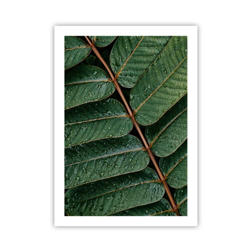 Plagát - V zelenom rytme - 50x70 cm