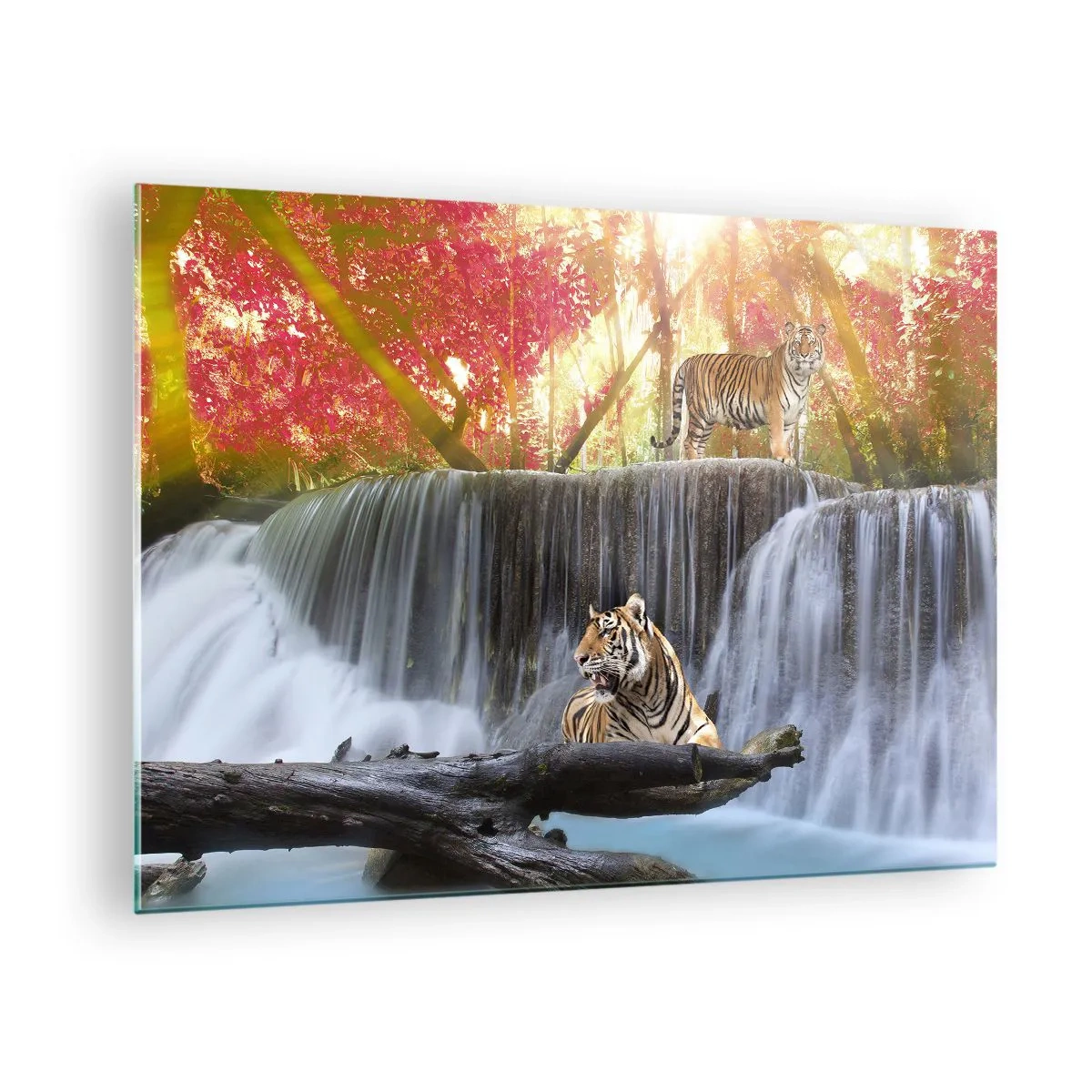 Obraz na skle - Tigre proti vodopádu a jesennej scenérii - 70x50cm - Surrealistická krajina - Moderná nástenná dekorácia do obývacej izby a spálne ARTTOR