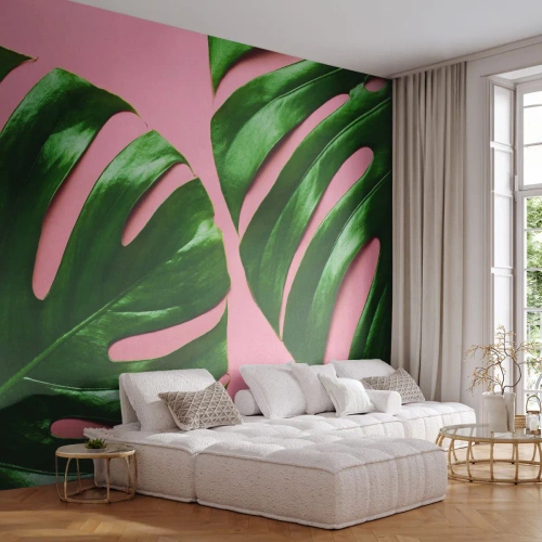 Samolepiaca Fototapeta Deluxe Sticker - Zelené rendez-vous - Monstera, Zelený list, Exotická rastlina - 250x175 cm