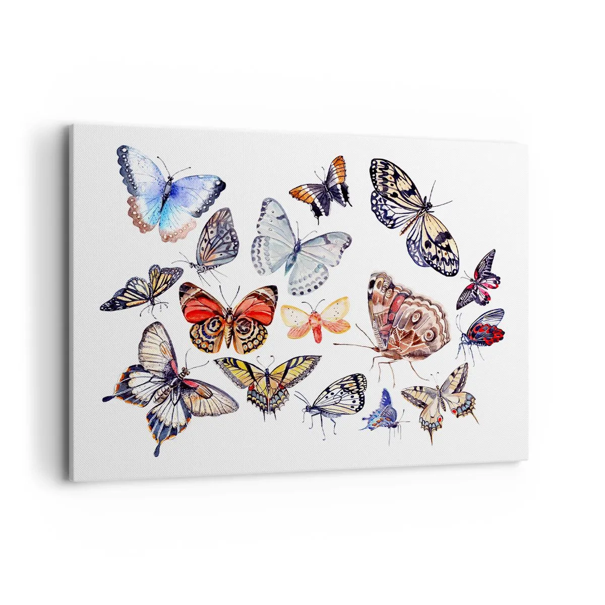 Obraz na plátne - Čipkový, farebný roj - 100x70 cm