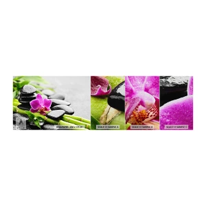 Vzorka fototapety Premium Canvas - V pokojnej rovnováhe - Kvety, Orchidea, Orchidea - 100x30 cm