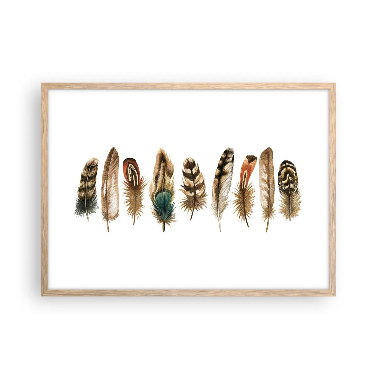 Plagát v ráme zo svetlého duba - Operená variácia - 70x50 cm