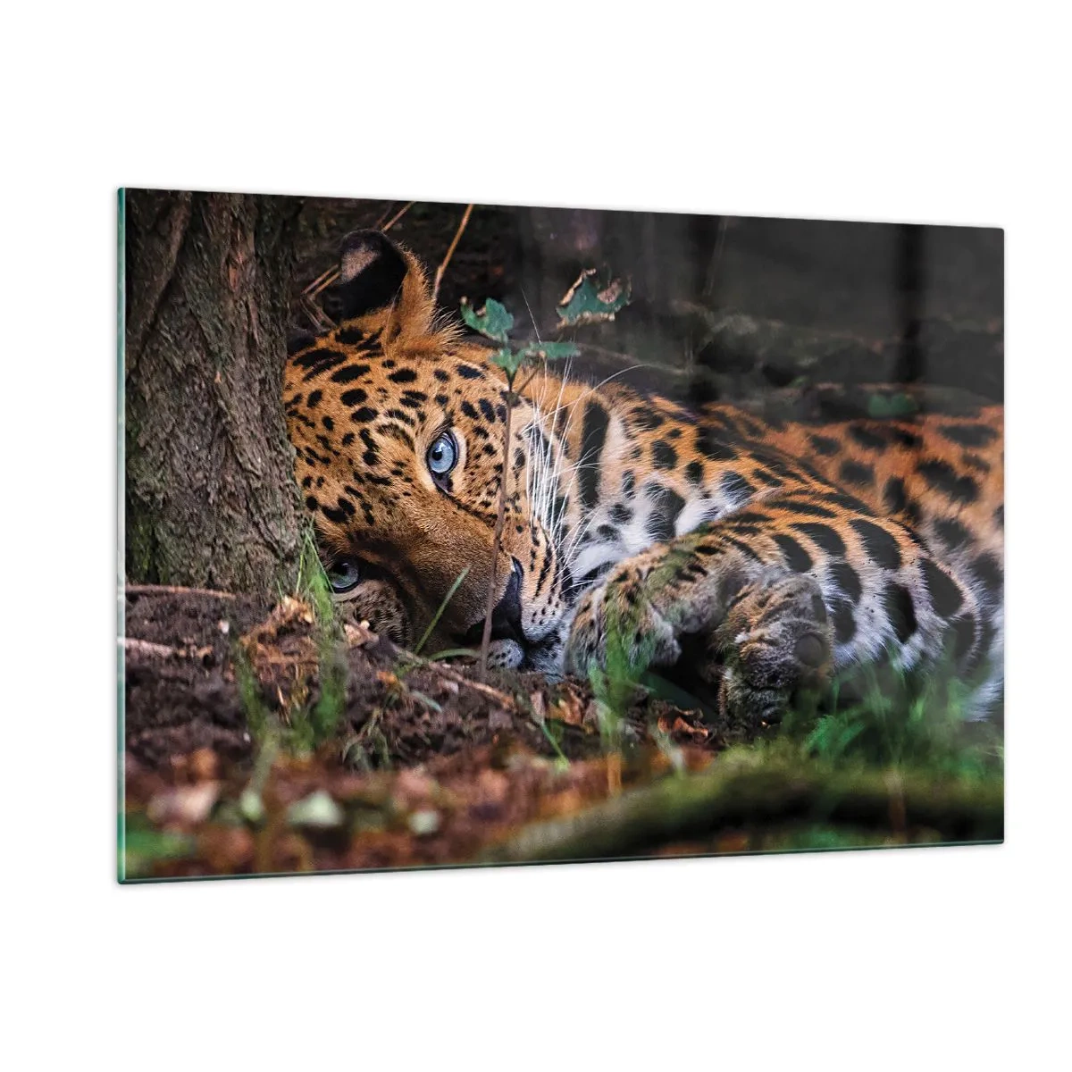 Obraz na skle - Ver mi - 120x80 cm