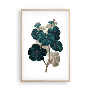 Plagát v ráme zo svetlého duba - Zo starého herbára - 61x91 cm