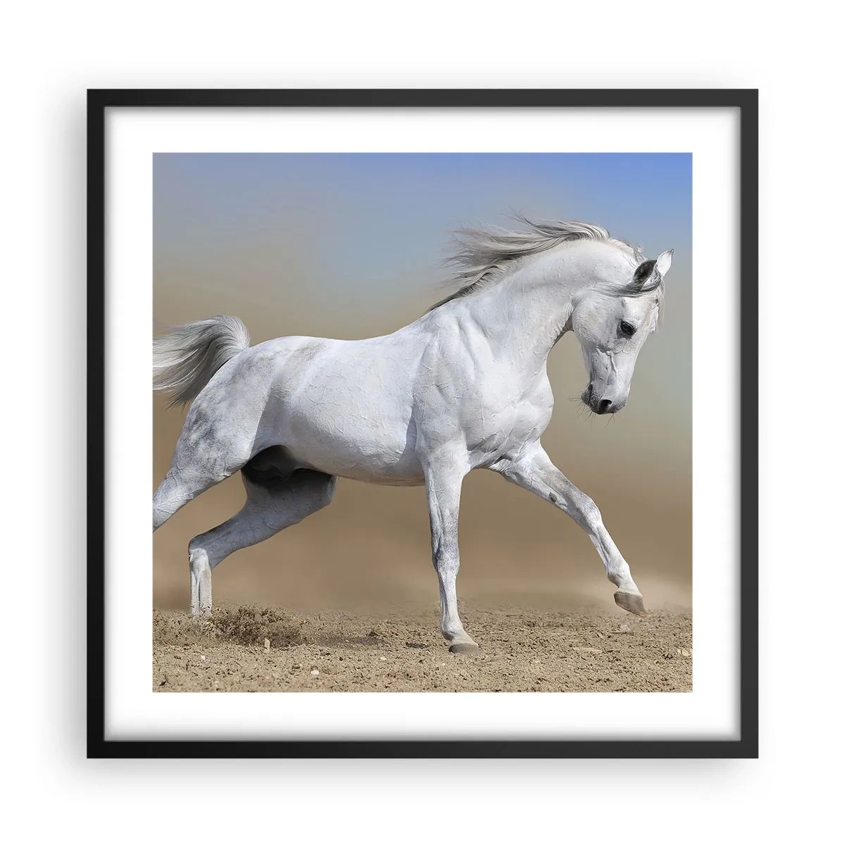 Plagát v čiernom ráme - Najkrajšia arabská rozprávka - 50x50 cm
