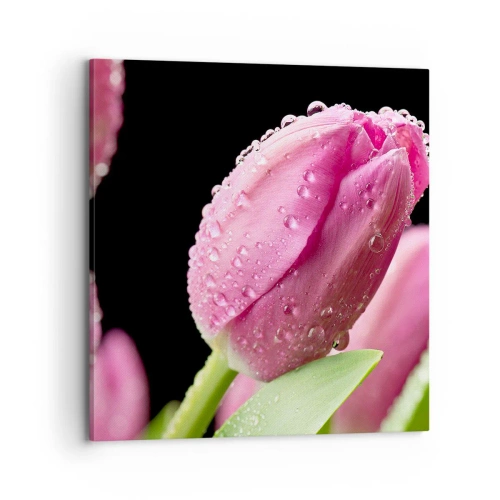 Obraz na plátne - Ľaliový sen v rose - 70x70 cm