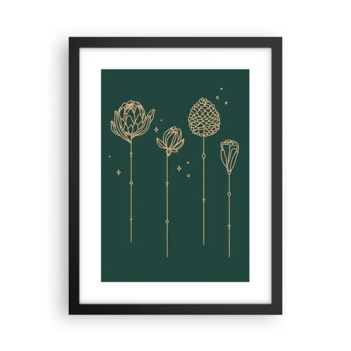 Plagát v čiernom ráme - Bylinky - 30x40 cm