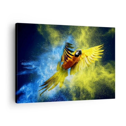 Obraz na plátne - Papagáj za letu na pozadí farebných explózií žltej a modrej. - 70x50cm - V modro-zlatom prachu - Moderná nástenná dekorácia do obývacej izby a spálne ARTTOR
