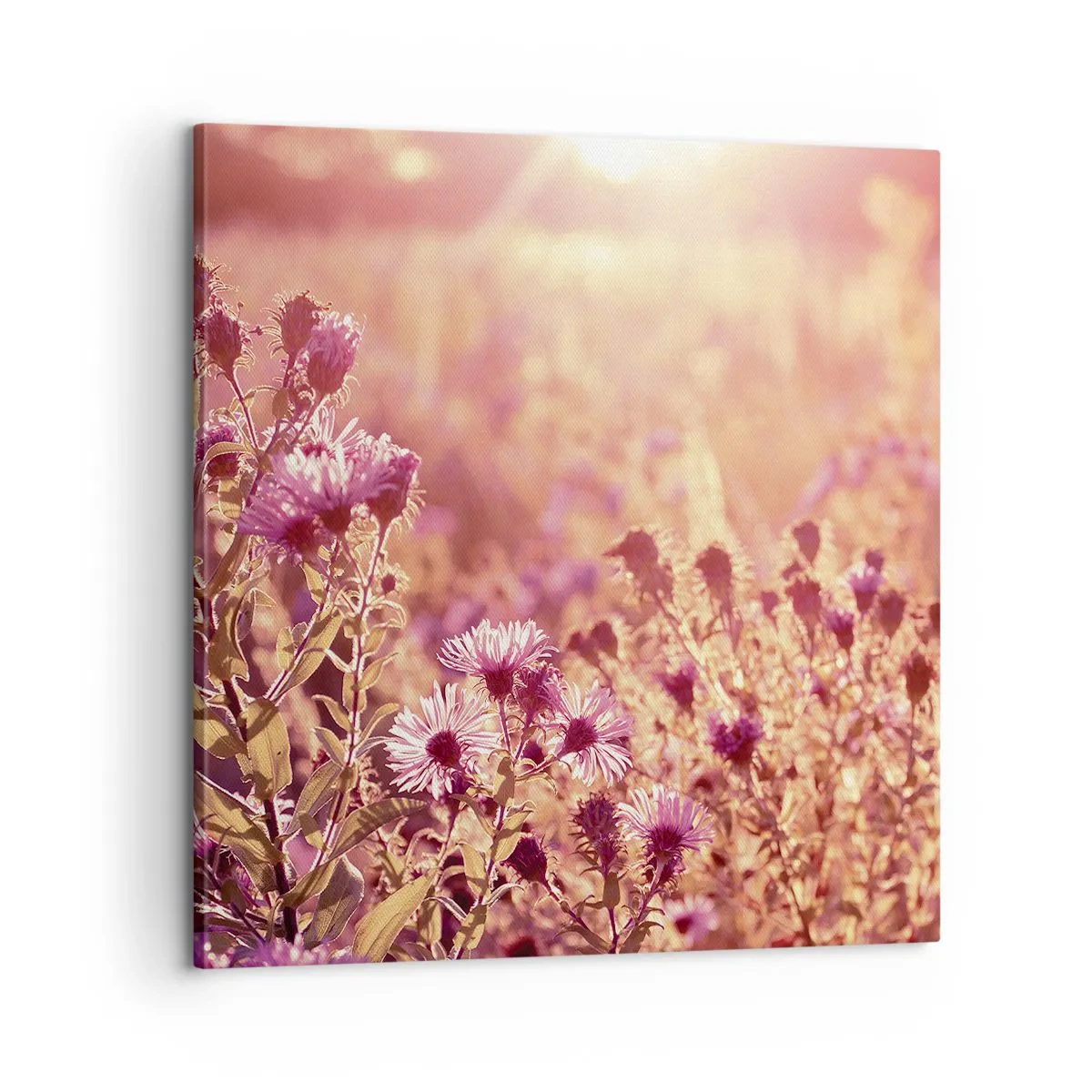 Obraz na plátne - Než skončí leto - 60x60 cm