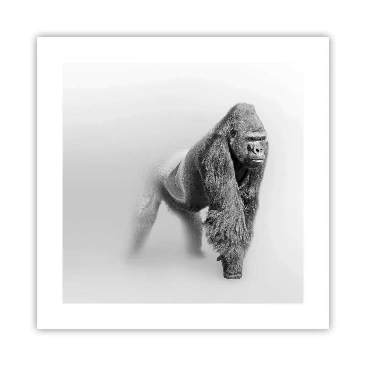 Plagát - Istý si svojou silou - 40x40 cm