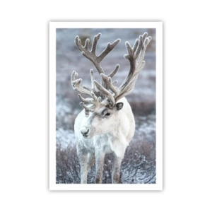 Plagát - Slnečný portrét - 61x91 cm