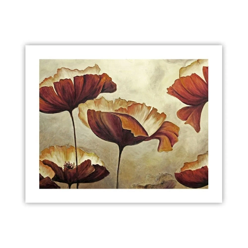 Plagát - Lán lúky - 50x40 cm