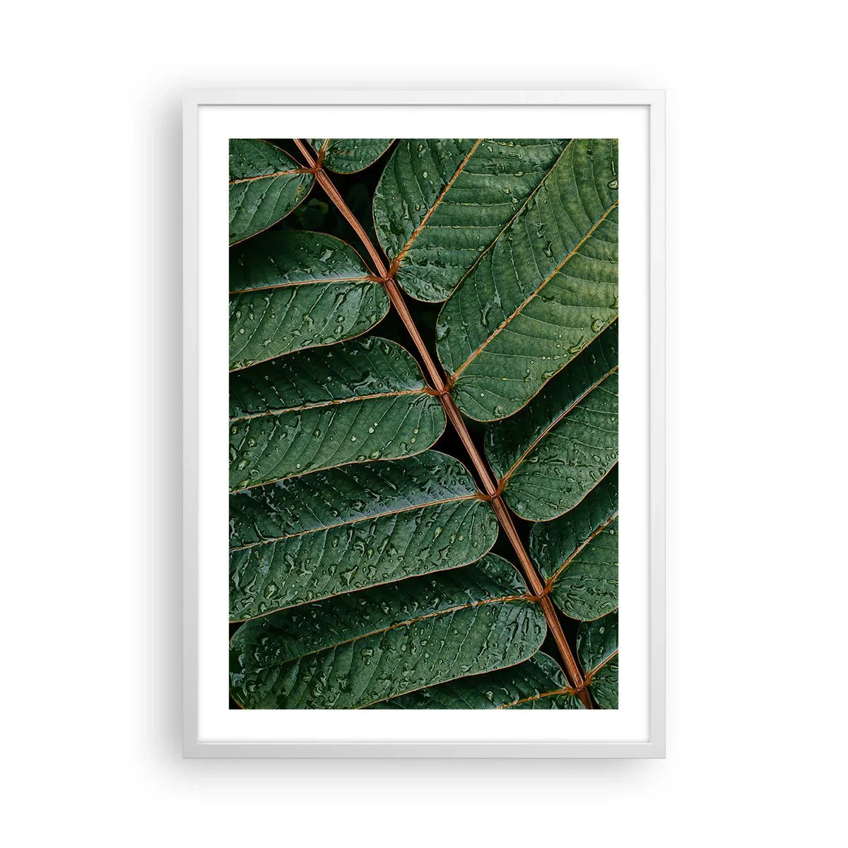 Plagát v bielom ráme - V zelenom rytme - 50x70 cm