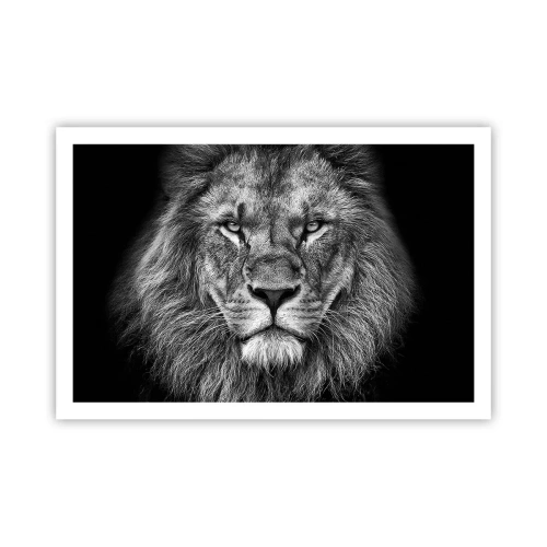 Plagát - V korunovačnom odeve - 91x61 cm