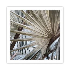 Plagát - Vejáre v trópoch - 60x60 cm