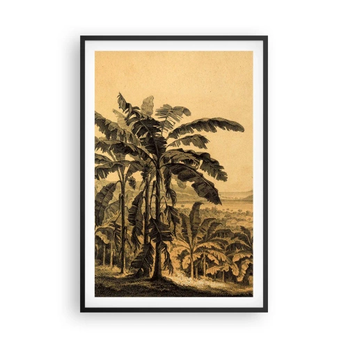 Plagát v čiernom ráme - V koloniálnom štýle - 61x91 cm