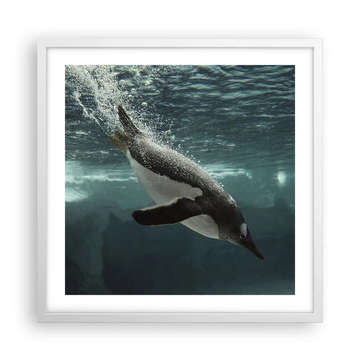 Plagát v bielom ráme - Vitajte v mojom svete - 50x50 cm