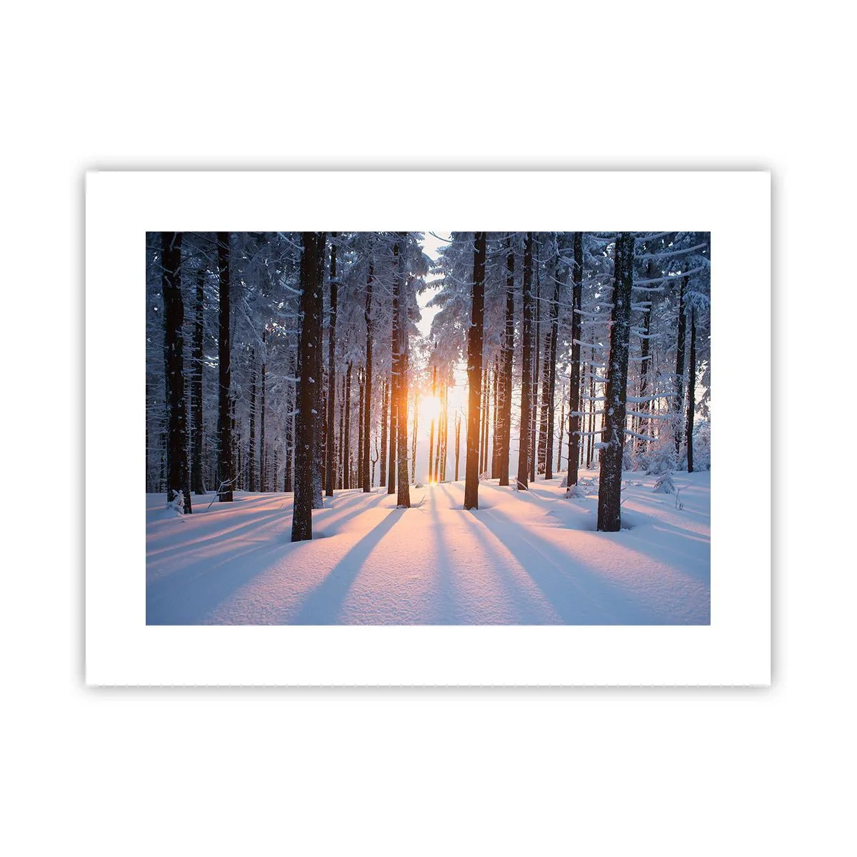 Plagát - Jasne čierne na bielom - 40x30 cm