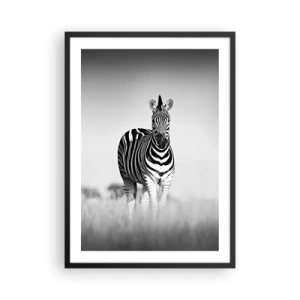 Plagát v čiernom ráme - Zebra v čiernobielej kompozícii na savane - 50x70cm - A svet je aj tak čierno-biely - Moderná nástenná dekorácia do obývacej izby a spálne ARTTOR