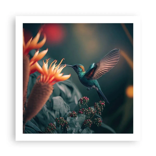 Plagát - Skutočne pestrý život - 60x60 cm