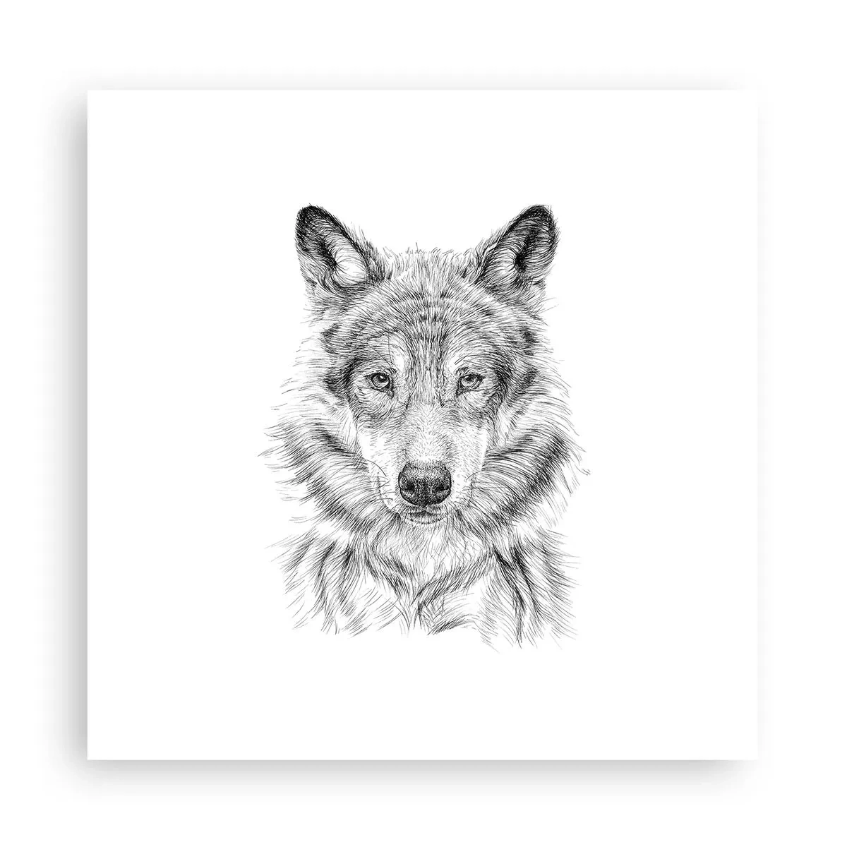Plagát - Rodený vodca - 30x30 cm