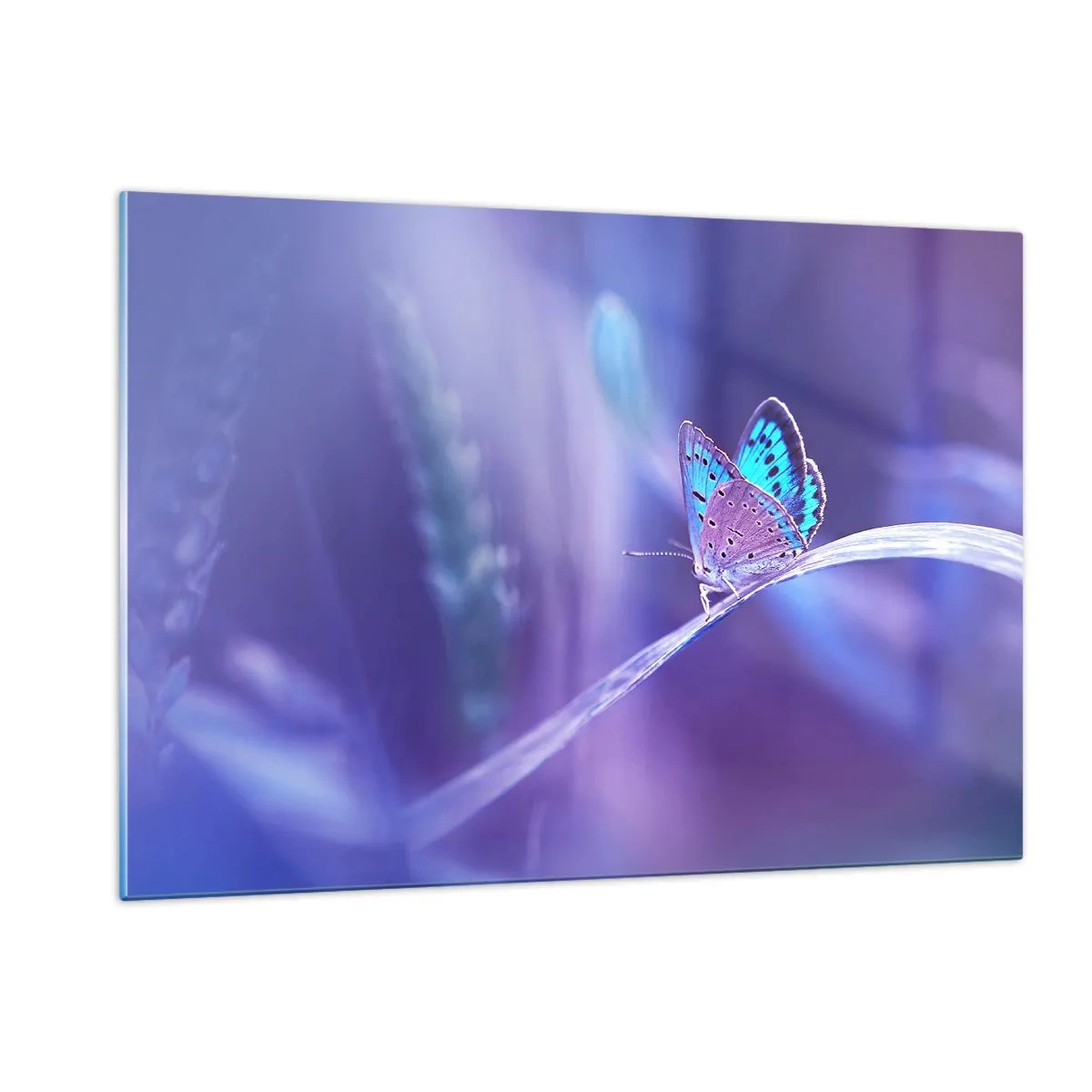 Obraz na skle - Klenot prírody - 120x80 cm