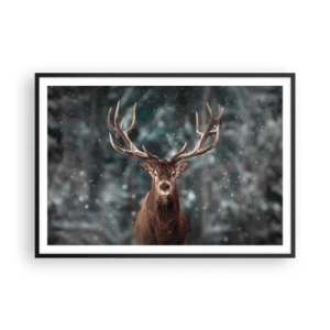Plagát v čiernom ráme - Skutočný kráľ lesa - 100x70 cm