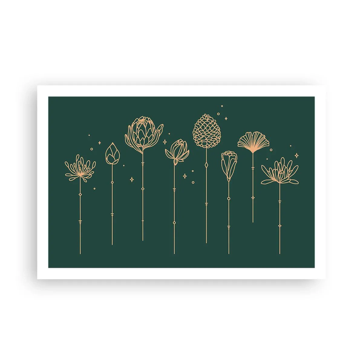 Plagát - Bylinky - 91x61 cm