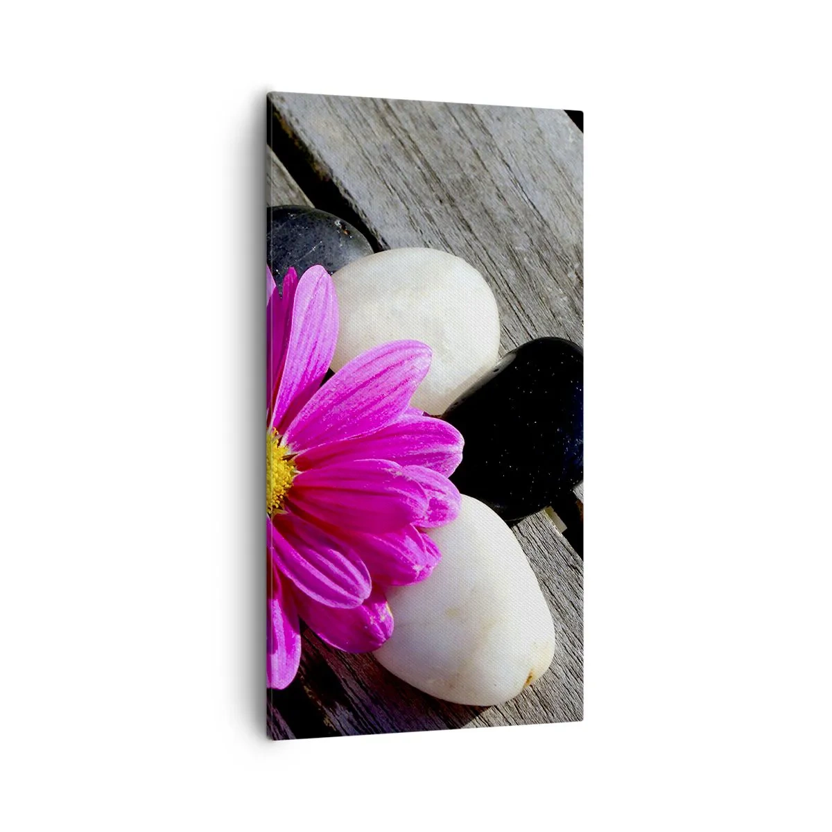 Obraz na plátne - Odpočinok na móle - 55x100 cm