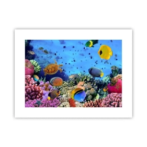 Plagát - Čo vieme o živote… - 40x30 cm