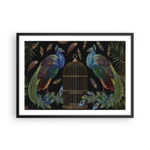 Plagát v čiernom ráme - V kráľovskom rúchu - 70x50 cm