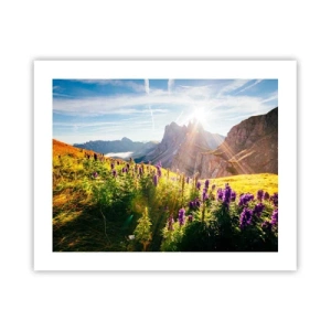 Plagát - Tajomný život bylín - 50x40 cm