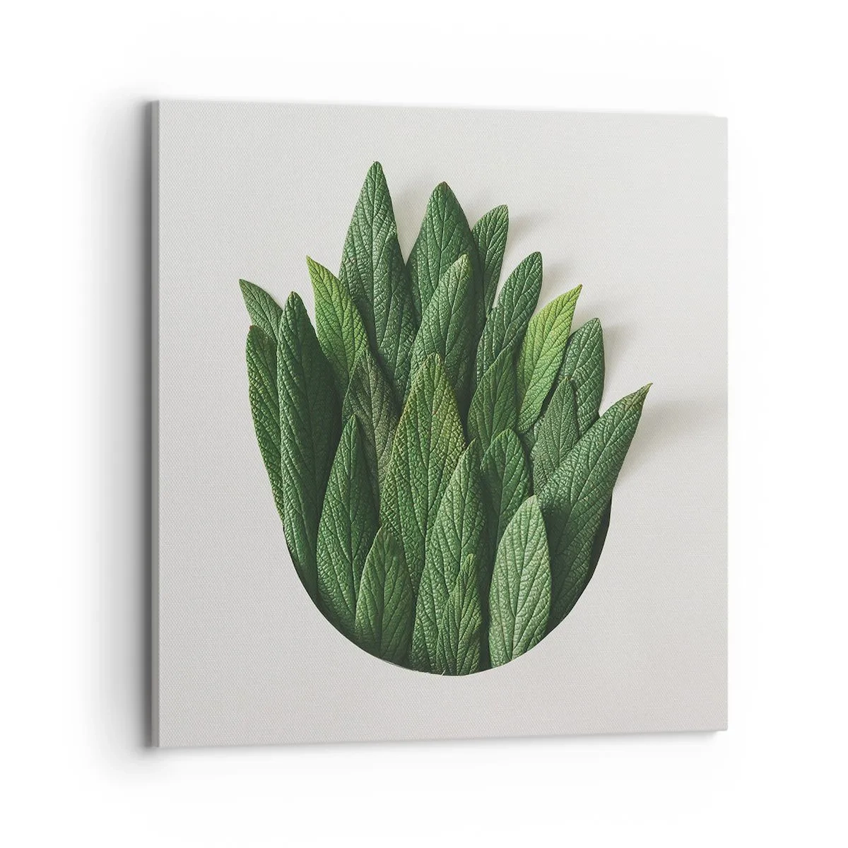 Obraz na plátne - Neukojiteľná zvedavosť - 70x70 cm