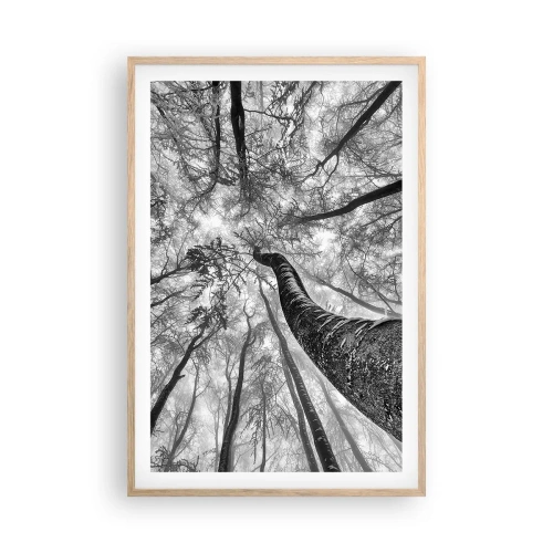 Plagát v ráme zo svetlého duba - Závod ku svetlu - 61x91 cm