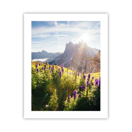 Plagát - Tajomný život bylín - 40x50 cm