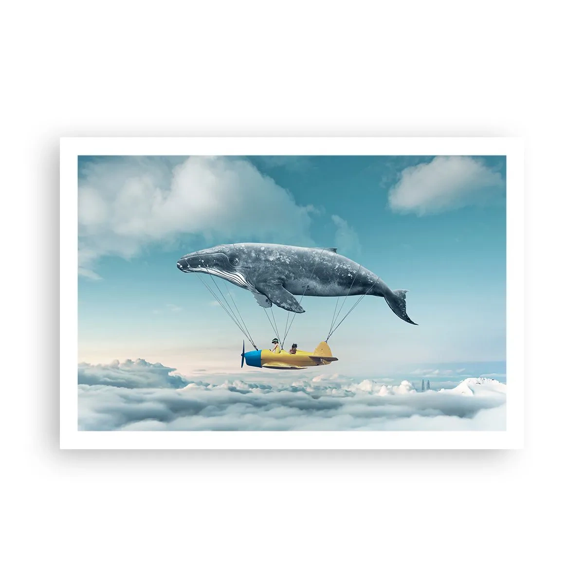 Plagát - Prečo by nie? - 91x61 cm