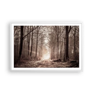 Plagát v bielom ráme - Lesná katedrála - 91x61 cm