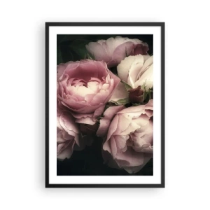 Plagát v čiernom ráme - Ružové pivonky v elegantnom, klasickom aranžmáne - 50x70cm - Kúzlo belle epoque - Moderná nástenná dekorácia do obývacej izby a spálne ARTTOR