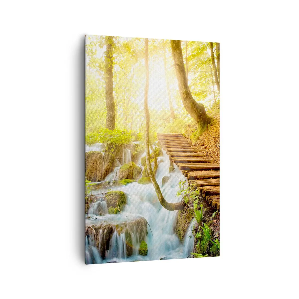 Obraz na plátne - Vytúžený chlad - 80x120 cm