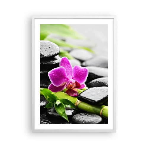 Plagát v bielom ráme - V pokojnej rovnováhe - 50x70 cm