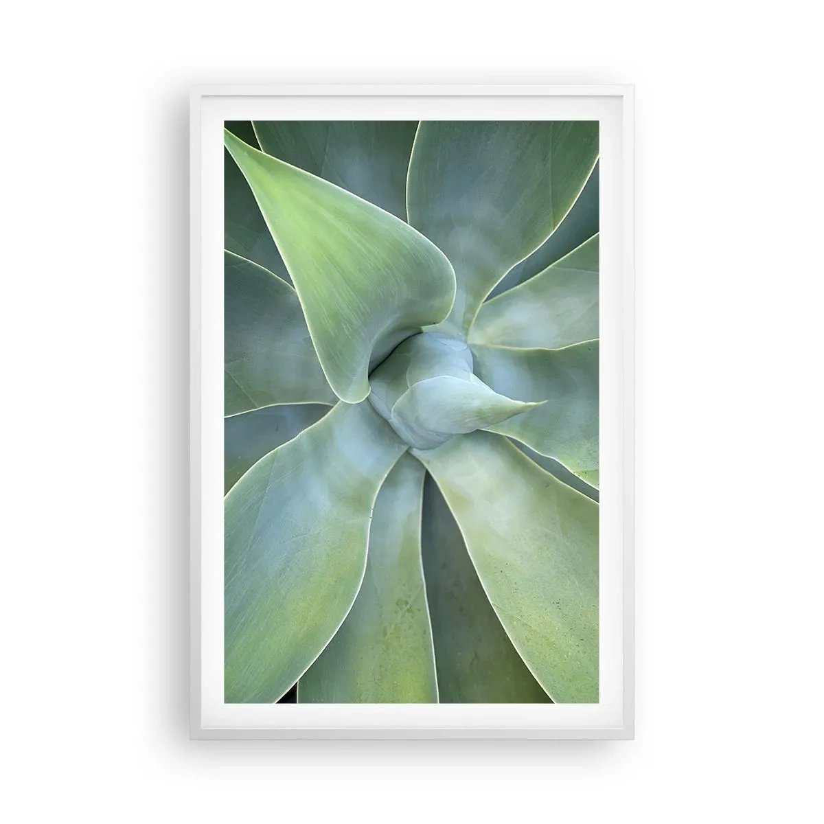 Plagát v bielom ráme - Zrodenie zelene - 61x91 cm